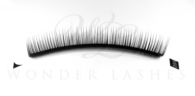 CAMELLIA LASHES NATURAL Wonder Lashes